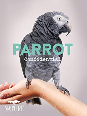 parrot confidential great documentary
