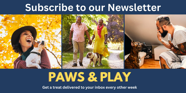 paws and play newsletter subscribe