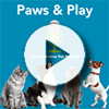 Play Paws & Play episode What to Consider Before Getting a Pet for the Holidays (or Ever)