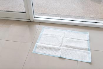 how to go from pee pads to outside