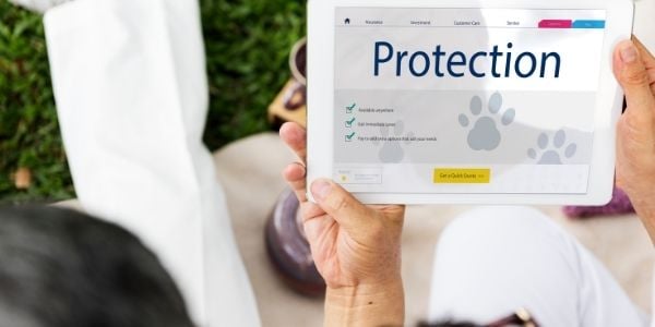 pet insurance protection for dogs and cats