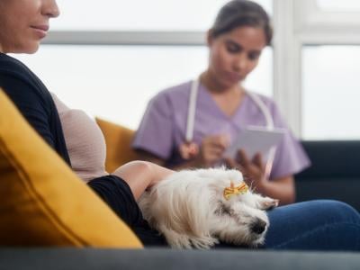 pet owner speaking with vet tech dog in lap