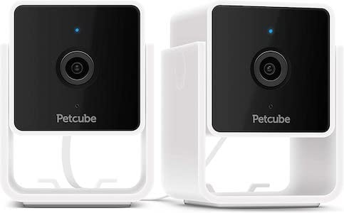 petcube cameras