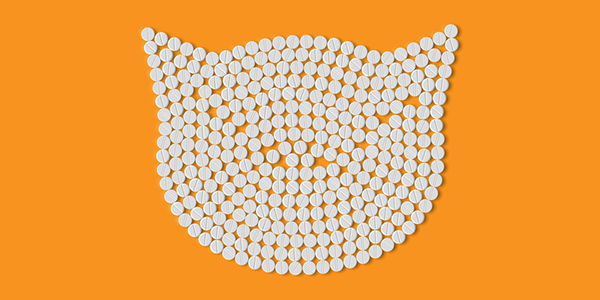 uti medication for pets