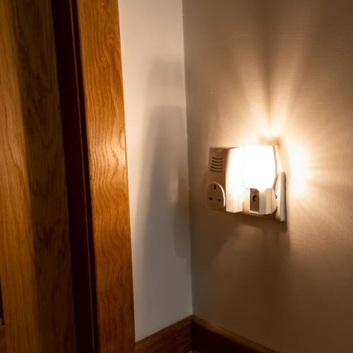 plug in night light for cat to see litter box-canva