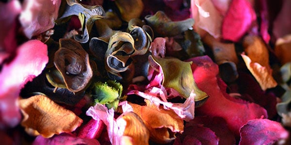 potpourri dried mixture