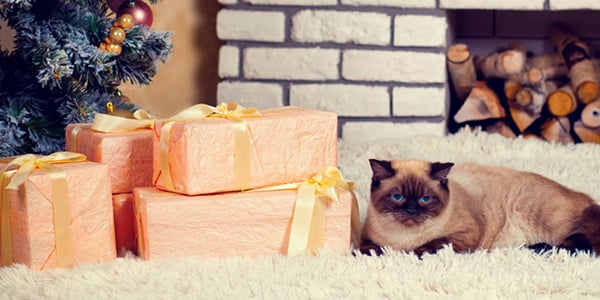 presents for cats and cat people