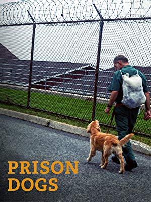 Prison Dogs documentary