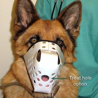 product JAFCO dog muzzle with treat hole