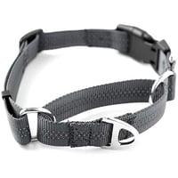 product Mighty Paw Martingale Collar