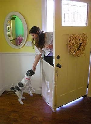 product bow wow retractable door barrier