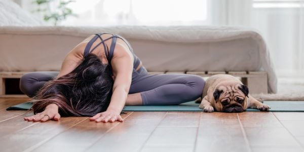 pug lying on yoga mat beside woman exercising