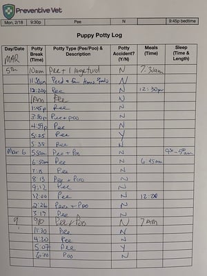 puppy potty log filled out example