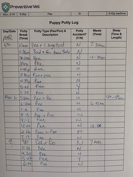 puppy potty log filled out example