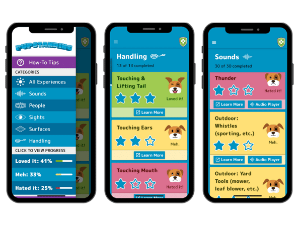 puppy socialization app pupstanding