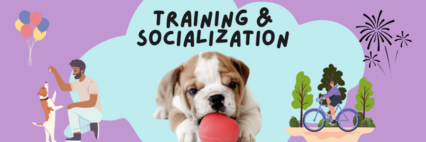 puppy training and socialization