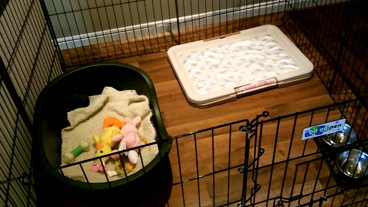 setting up a puppy pen