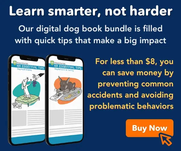 Buy our dog digital book bundle and prevent common accidents.