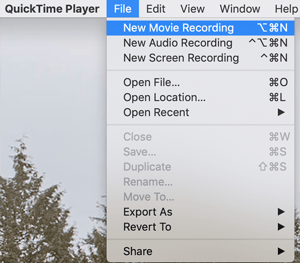 quicktime file menu