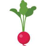 radish