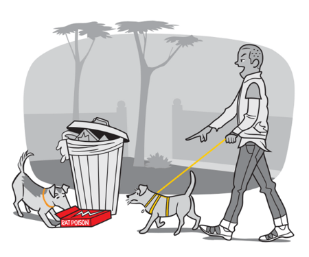 illustration of dog getting into rat poison on a walk