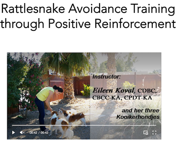 rattlesnake avoidance virtual course