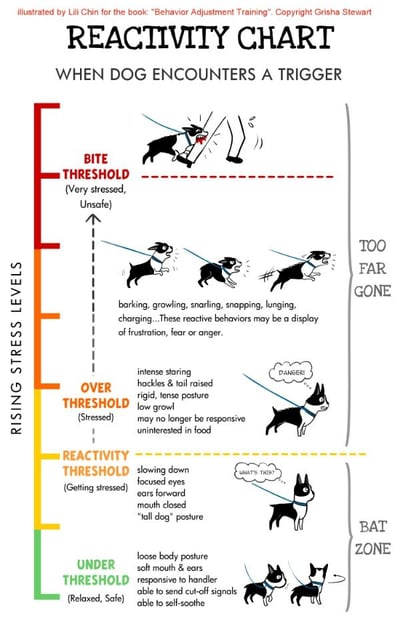 reactivity chart