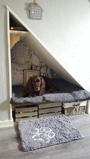 how can i cool my dogs room