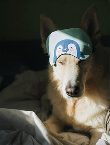 safespacehero