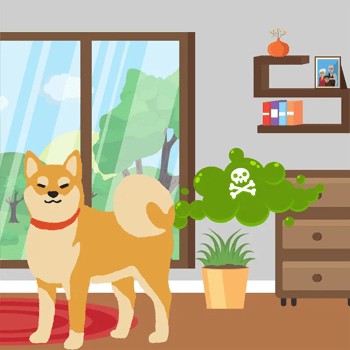 shiba inu with really bad gas illustration