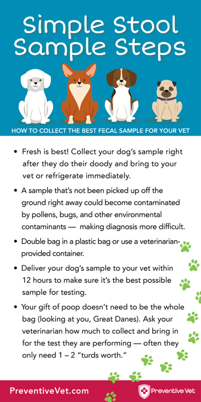 simple stool sample steps infographic