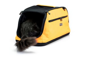 sleepypod air cat carrier