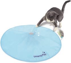 smary kat hot pursuit toy