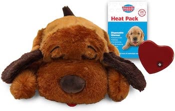 snuggle puppy helps puppies sleep through night