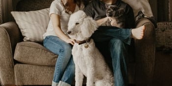social distancing with pets