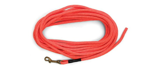 sportdog long orange cord training leash