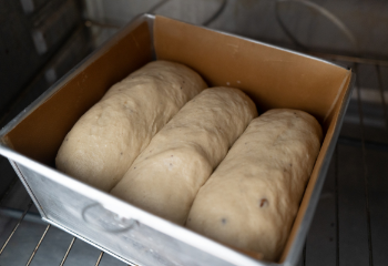 square pan of bread dough rising in the oven