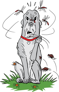 dog and bugs illustration