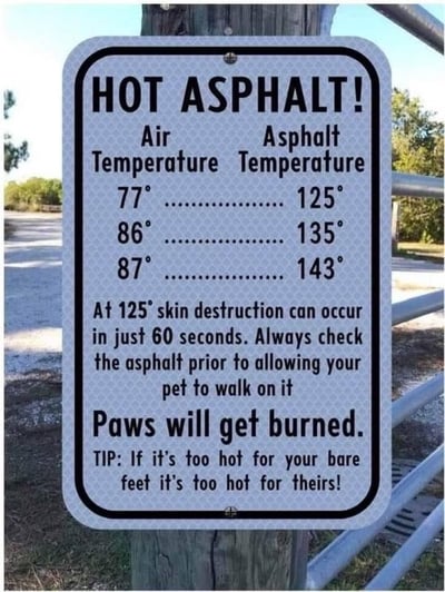 too hot for paws asphalt temperatures