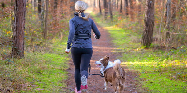 train your dog to run with you