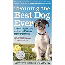training the best dog ever