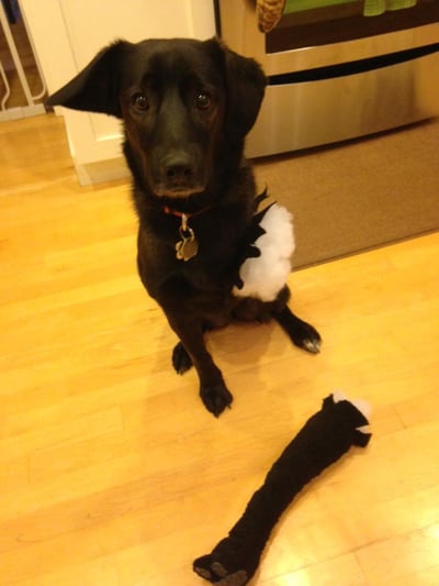 tripod stuffed animal costume
