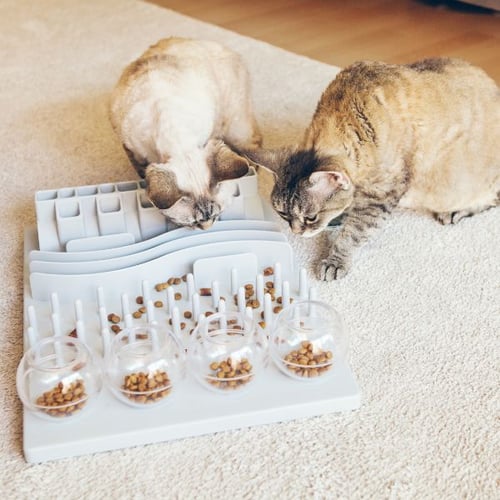 The Catit Treat Maze - Food Puzzles for Cats