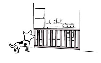 use a baby gate for your pets