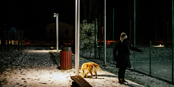 walking a dog at night