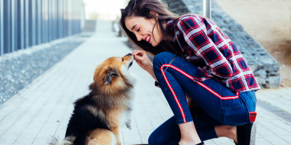 woman giving her fluffy dog a treat for sitting