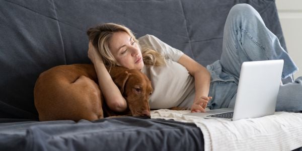 woman lying with her vizsla on the couch looking at laptop