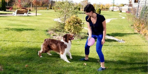 woman playing fetch with her dog in the park