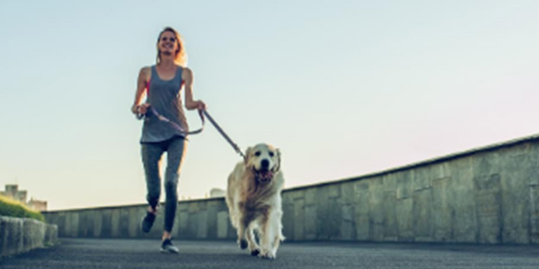 woman running with her golden retriever