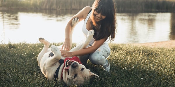 woman scratching yellow labs belly outside by lake